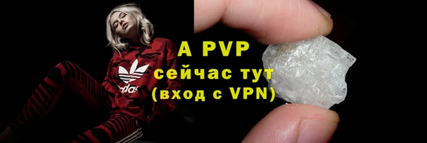 стаф Алексин