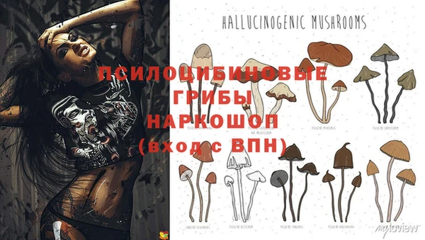 каннабис Алексеевка