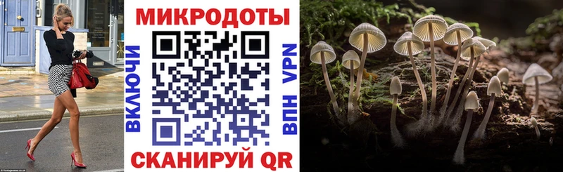 Псилоцибиновые грибы Cubensis Алексеевка